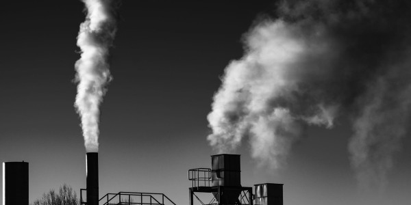 Delitos Societarios Santa María de la Alameda · Delitos Contra el Medioambiente / Contaminación