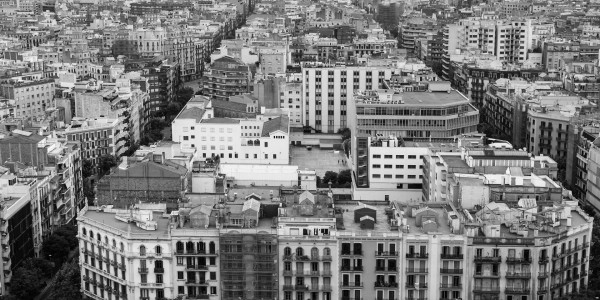 Delitos Contra la Propiedad / Urbanísticos Perales de Tajuña · Parcelación en Suelo No Edificable